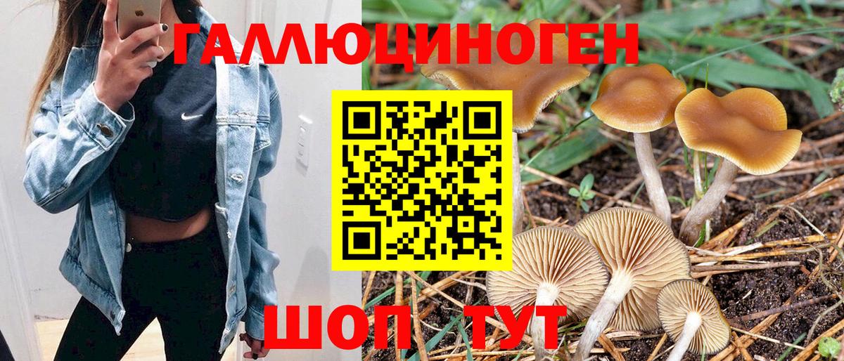 Псилоцибиновые грибы ЛСД  Псилоцибиновые грибы GOLDEN TEACHER  Вход с VPN  Симферополь 