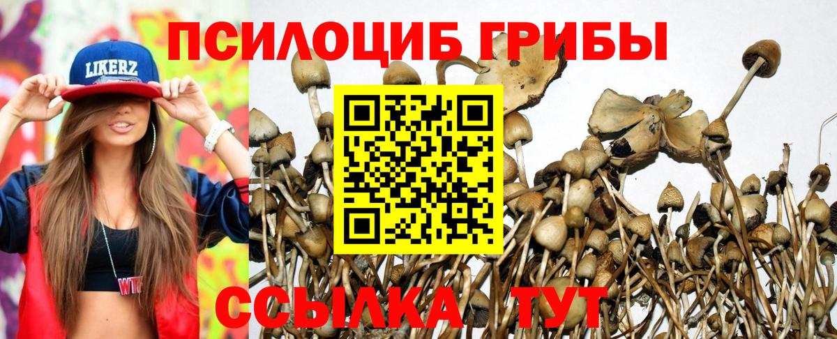 Псилоцибиновые грибы MAGIC MUSHROOMS Симферополь